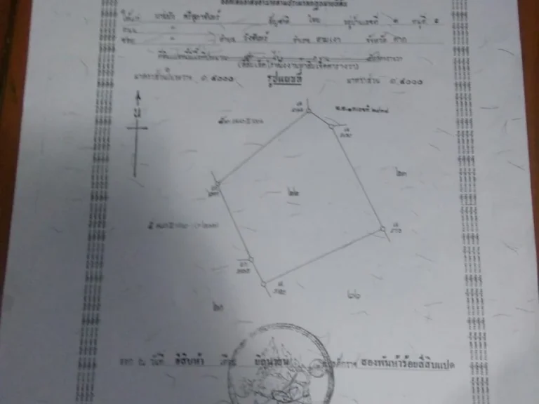 ขายที่ดิน 41 ไร่ อสามเงา จตาก ปัจจุบันมีคนเช่าปลูกอ้อย เหมาะกับการทำเกษตร มีบ่อบาดาล