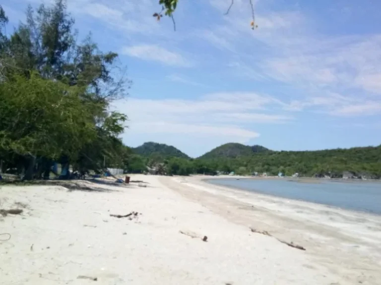 ขายด่วน ที่ดินติดทะเล หาดส่วนตัว ใกล้อุทยานแห่งชาติสามร้อยยอด เงียบ สงบ ร่มรื่น