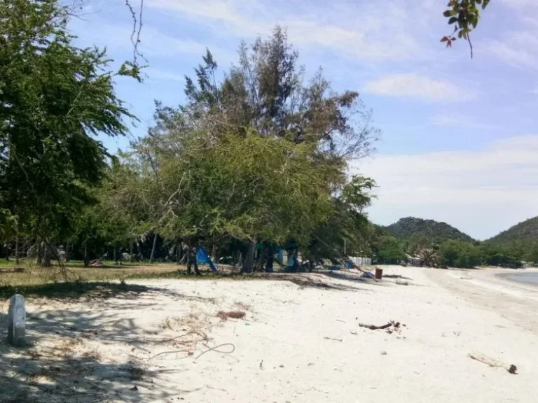 ขายด่วน ที่ดินติดทะเล หาดส่วนตัว ใกล้อุทยานแห่งชาติสามร้อยยอด เงียบ สงบ ร่มรื่น