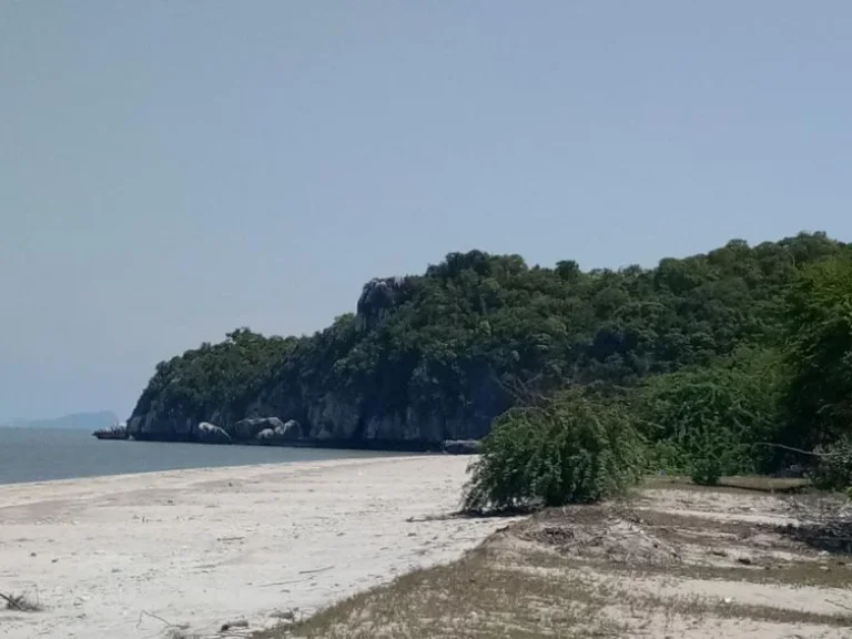 ขายด่วน ที่ดินติดทะเล หาดส่วนตัว ใกล้อุทยานแห่งชาติสามร้อยยอด เงียบ สงบ ร่มรื่น