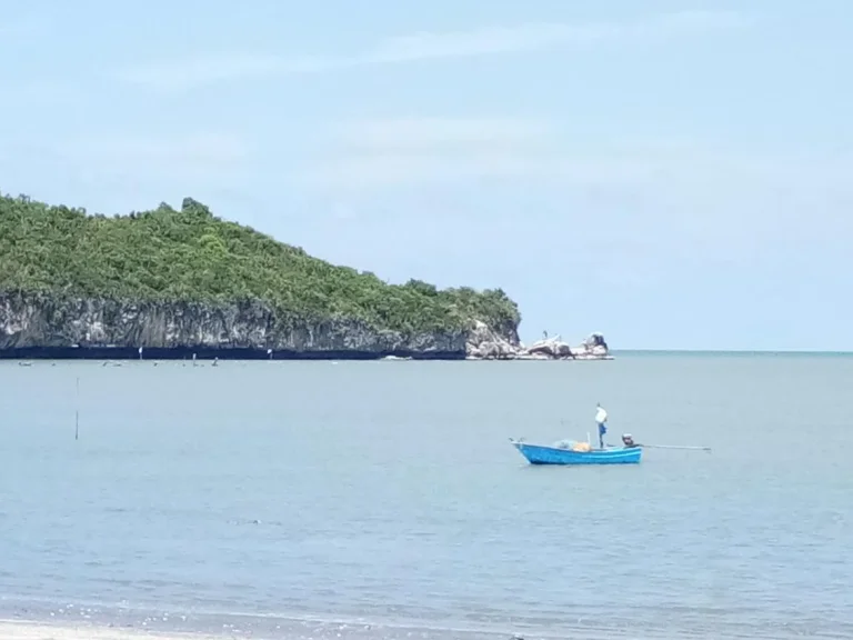 ขายด่วน ที่ดินติดทะเล หาดส่วนตัว ใกล้อุทยานแห่งชาติสามร้อยยอด เงียบ สงบ ร่มรื่น