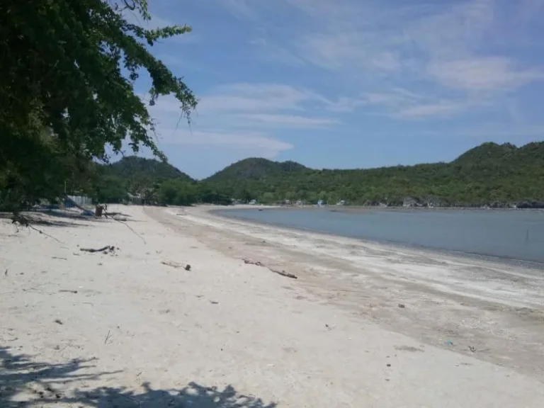 ขายด่วน ที่ดินติดทะเล หาดส่วนตัว ใกล้อุทยานแห่งชาติสามร้อยยอด เงียบ สงบ ร่มรื่น