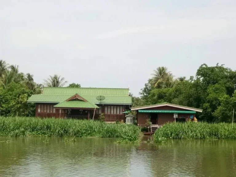 ขาย ที่ดินติดแม่น้ำท่าจีน ตรงข้ามตลาดดอนหวาย