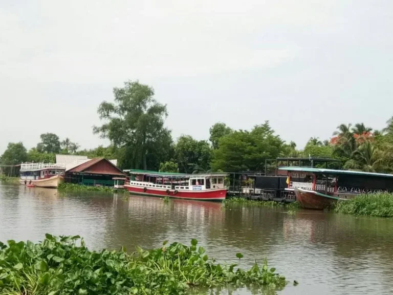 ขาย ที่ดินติดแม่น้ำท่าจีน ตรงข้ามตลาดดอนหวาย