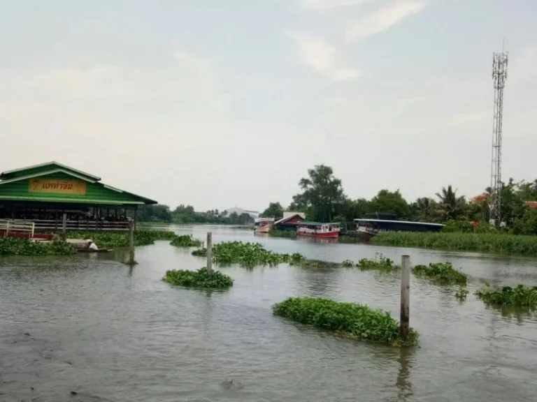 ขาย ที่ดินติดแม่น้ำท่าจีน ตรงข้ามตลาดดอนหวาย