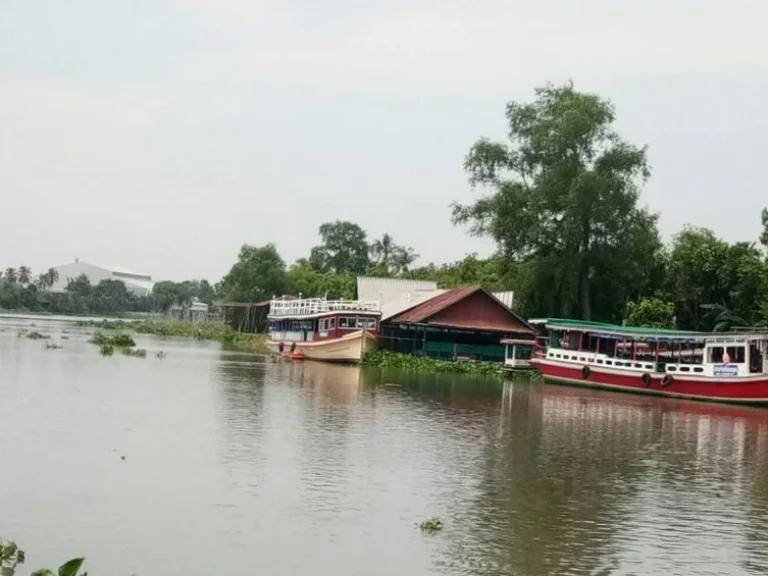 ขาย ที่ดินติดแม่น้ำท่าจีน ตรงข้ามตลาดดอนหวาย