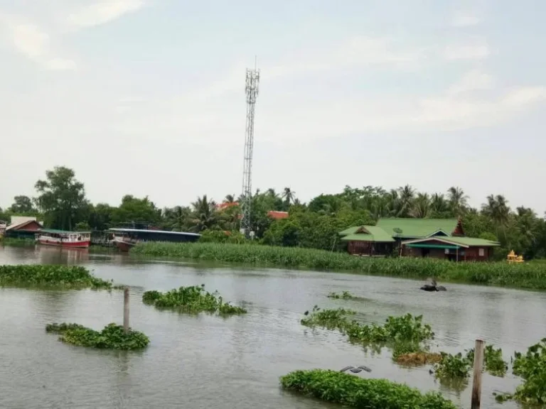 ขาย ที่ดินติดแม่น้ำท่าจีน ตรงข้ามตลาดดอนหวาย