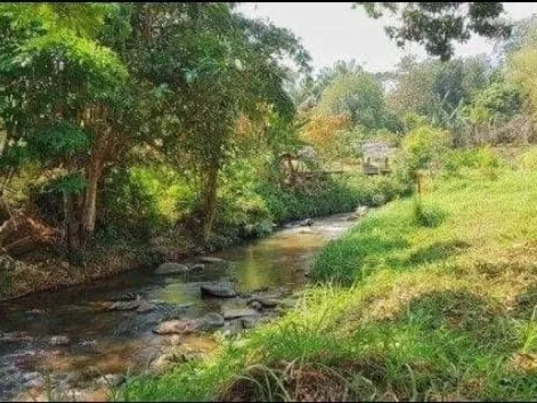 ขายที่ดินติดลำเหมืองน้ำตกแม่สา ยาว 200 เมตร