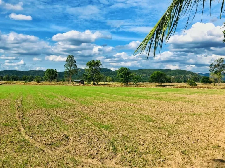 ที่ดิน ทำการเกษตราคาถูก