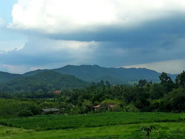 ที่ดิน 100 ตรว สวนมะม่วง วิวภูเขา ใกล้โรงพยาบาล อบ้านไร่ จอุทัยธานี