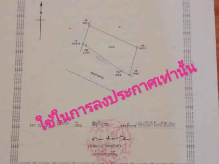 ที่ดินติดถนน ใกล้มหาวิทยาลัยพิษณุโลก เหมาะสำหรับสร้างหอพัก เจ้าของขายเอง