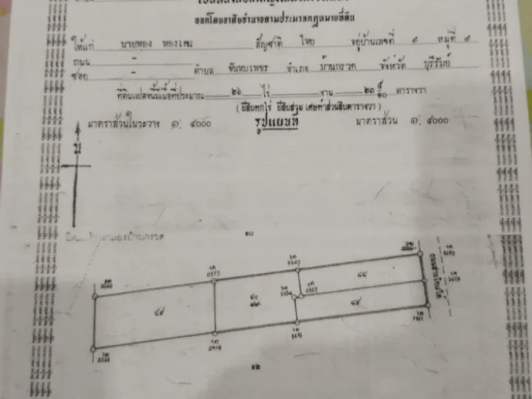 ขายที่ดิน16ไร่ ปลูกยางได้8เดือน แล้วสายโท8ใต้