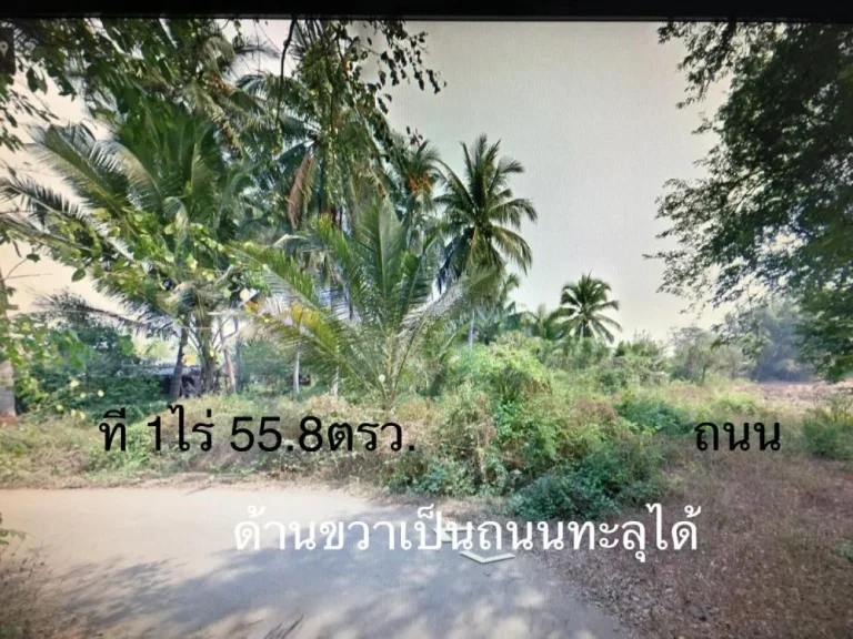 ขายที่ 2ไร่ 3งาน 86ตรว ตนางแก้ว อโพธาราม จราชบุรี ห่างถนนหลัก150 เมตร