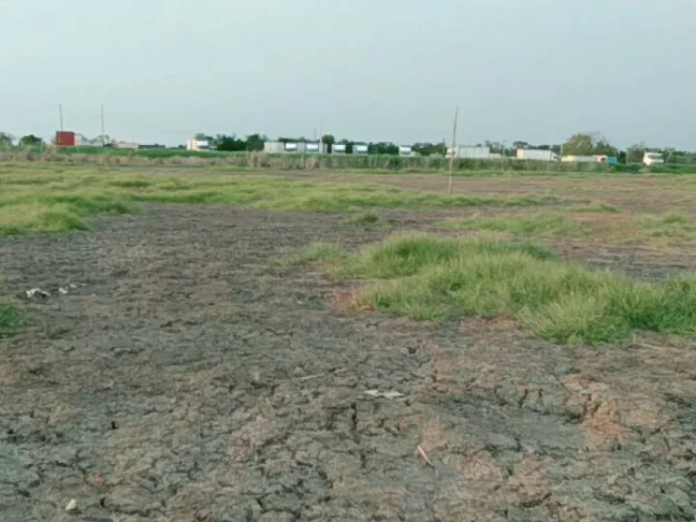 ที่ดินเปล่าหน้ากว้าง บางปะกง ใกล้สุขุมวิท