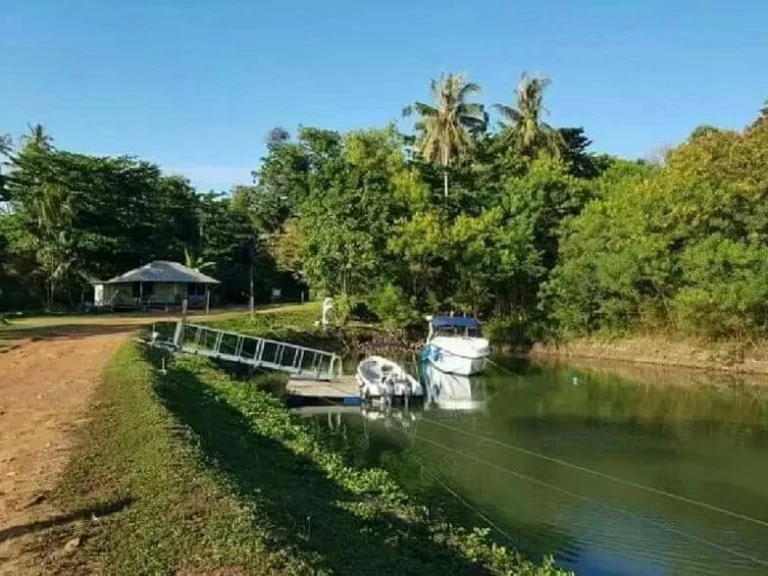 ขายที่ดิน เกาะหมาก จตราด