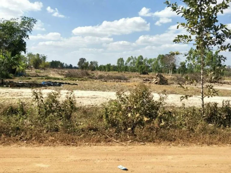 ขายที่ดิน บริเวณหมู่บ้านหนองโศกดาว ตโนนสูง อเมือง จอุดรธานี