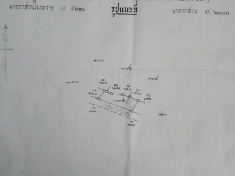 ที่ดิน 1332 ตรว ซข้างวัดตาขัน ตตาขัน อบ้านค่าย จระยอง