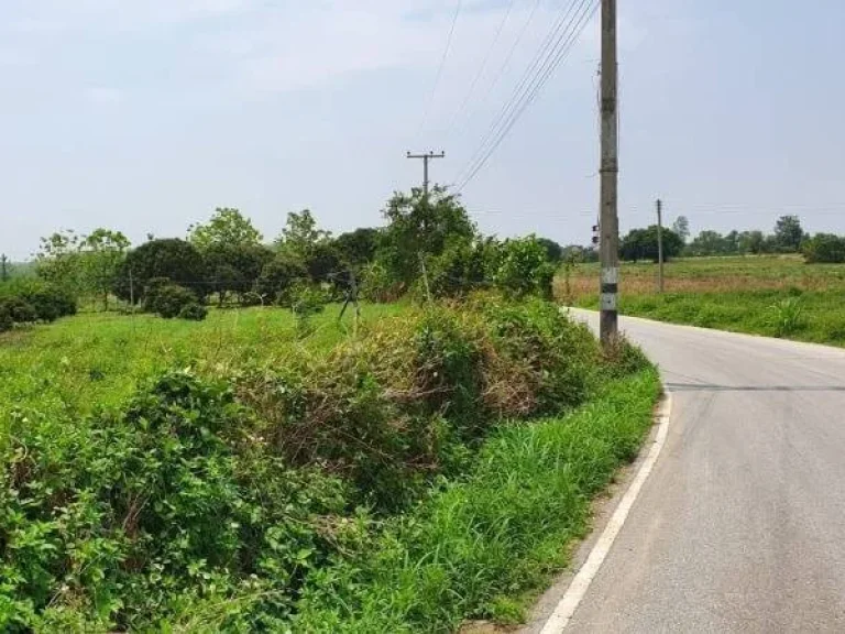 ขายที่ดินติดถนนตรงข้ามโรงพยาบาลแม่วาง