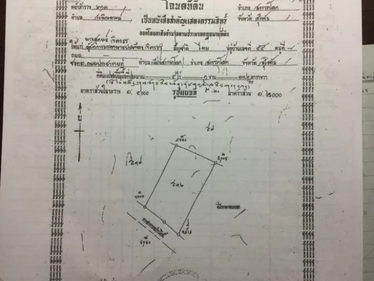 ขายที่ดิน4ไร่1งาน3ตารางวา ราคาไร่ละ 400000บาท สนใจ 0635659155