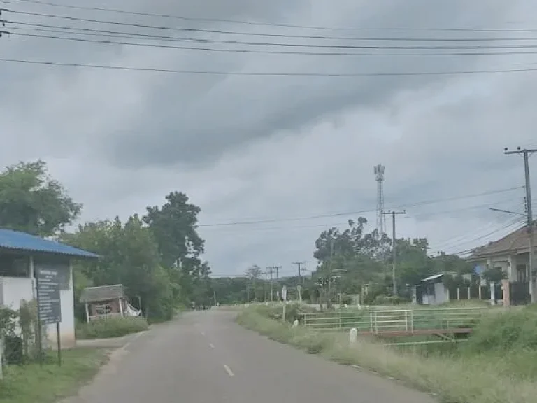 ขายที่ดินห่างถนนหลักหางดง 100 เมตร ทำเลดี ราคาถูก