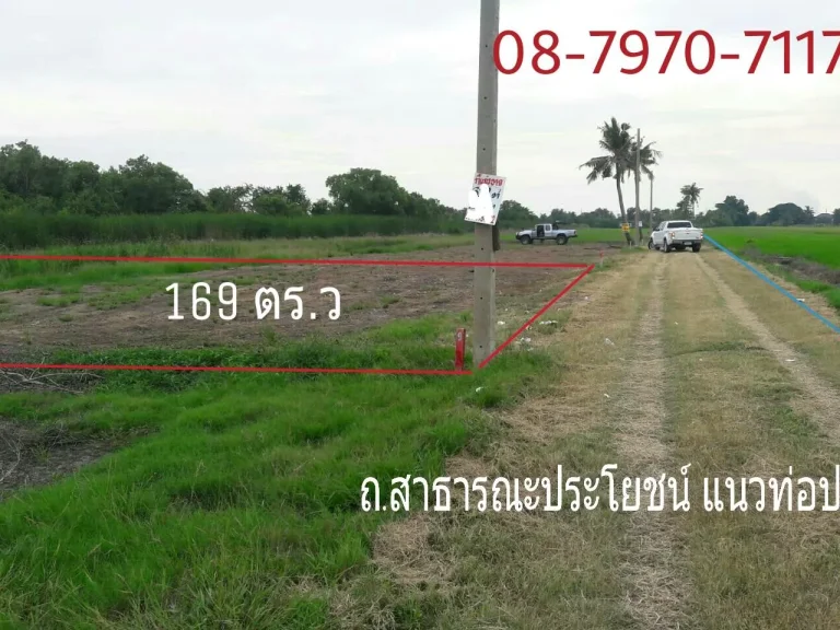 ที่สวย ถูก 169 ตรว ตรวละ3800 โฉนดพร้อมโอน