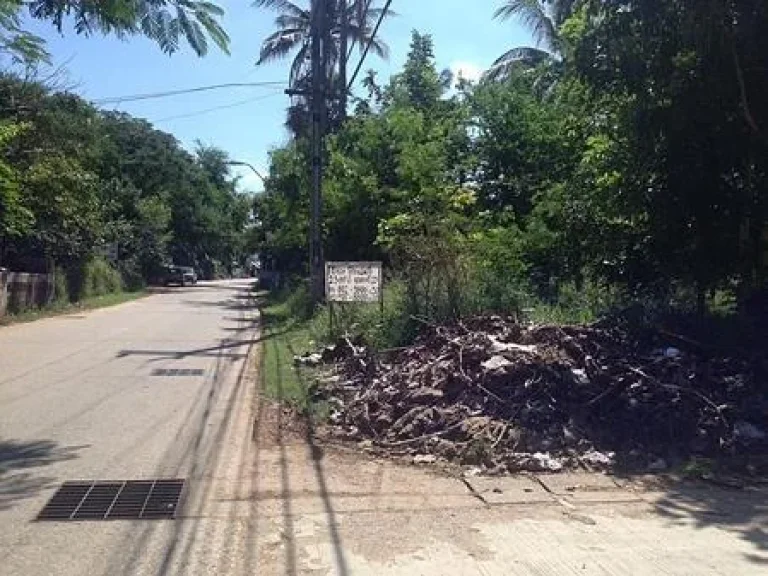 ขายด่วนที่ดินซอยมุขมนตรี 23 ติดถนนซอย 3 ด้าน ปรุใหญ่ นครราชศรีมา โคราช