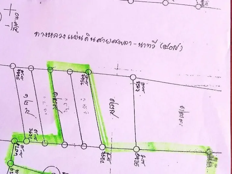 ขายที่ดิน ติดถนน จะนะ - นาทวี 8 ไร่ เศษ