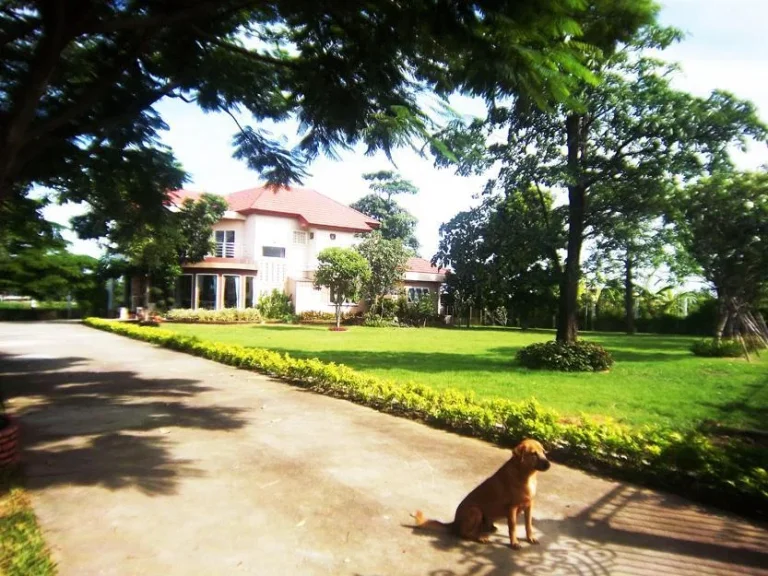 ขาย ให้เช่า บ้าน ริมคลอง ชานเมือง อเมือง ปทุมธานี บรรยากาศดี ถรอบทิศ จุดขึ้น้ลงทางด่วน ปากซอย 125ไร่ ริมน้ำ