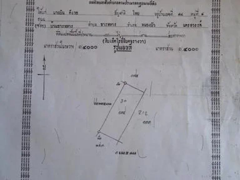 ต้องการขายที่นา จำนวน 10 ไร่