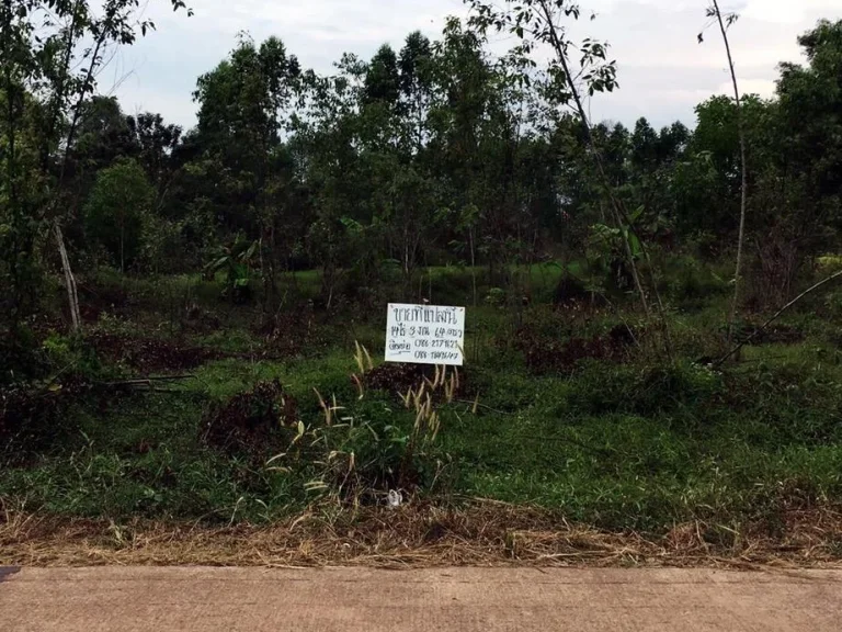 ขายที่ดินใกล้เมืองปราจีนถูกมาก