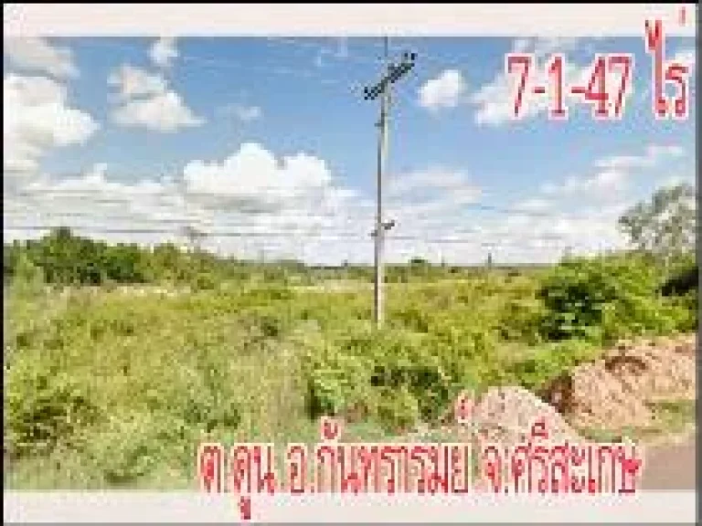 POP-531 ที่ดิน 7-1-47 ไร่ ติดถนน 2086 ตดูน อกันทรารมย์ จศรีสะเกษ ใกล้หาดนางเหงา ราคาไร่ละ 6 แสนบาท