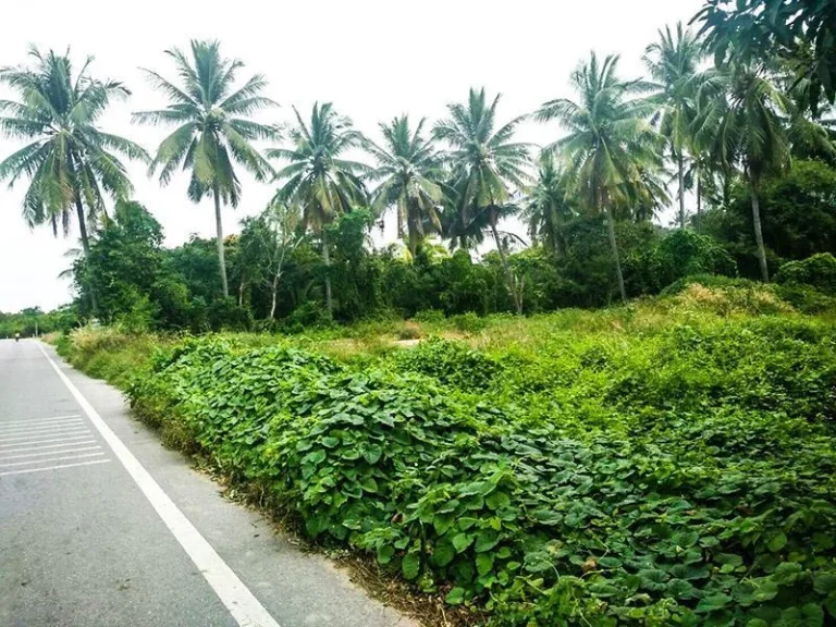 ขายที่ดินโฉนดสวยๆ ติดราดยางบ้านโปง - โพธาราม 4 ไร่ 900000 ต่อ ไร่