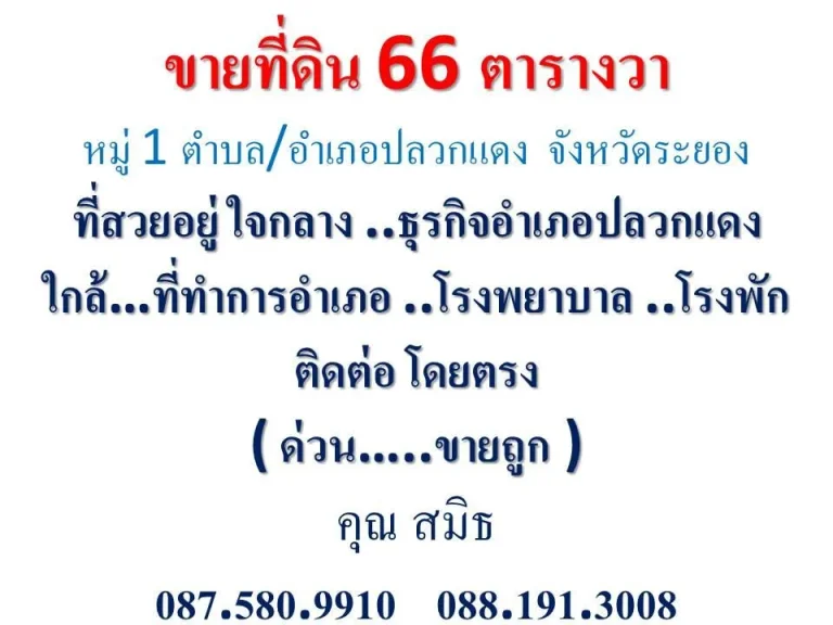 ขายที่ดิน 66 ตารางวาหมู่ 1 ตำบลอำเภอปลวกแดง จังหวัดระยองที่สวยอยู่ ใจกลาง ธุรกิจอำเภอ