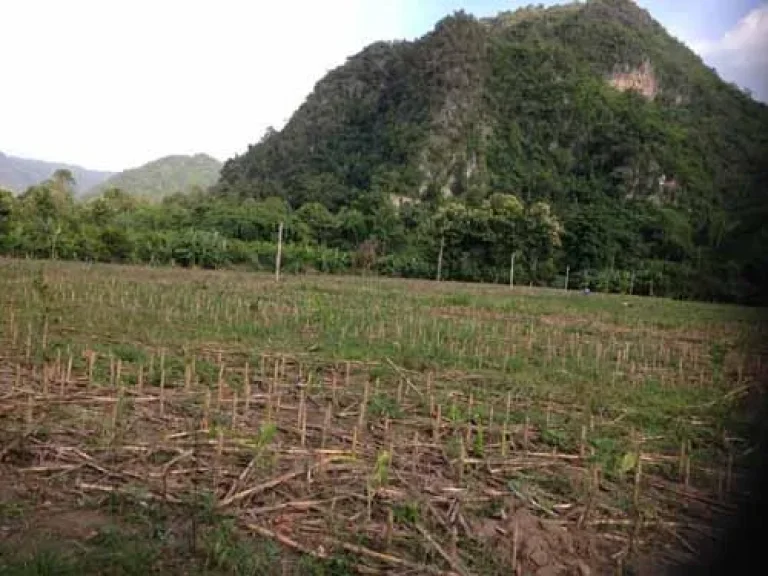 ขายที่ดินหน้าติดถนนหลังติดน้ำห้วยมีน้ำตลอดปี 3 ไร่ไฟฟ้า ประปา ใกล้ภูเขา