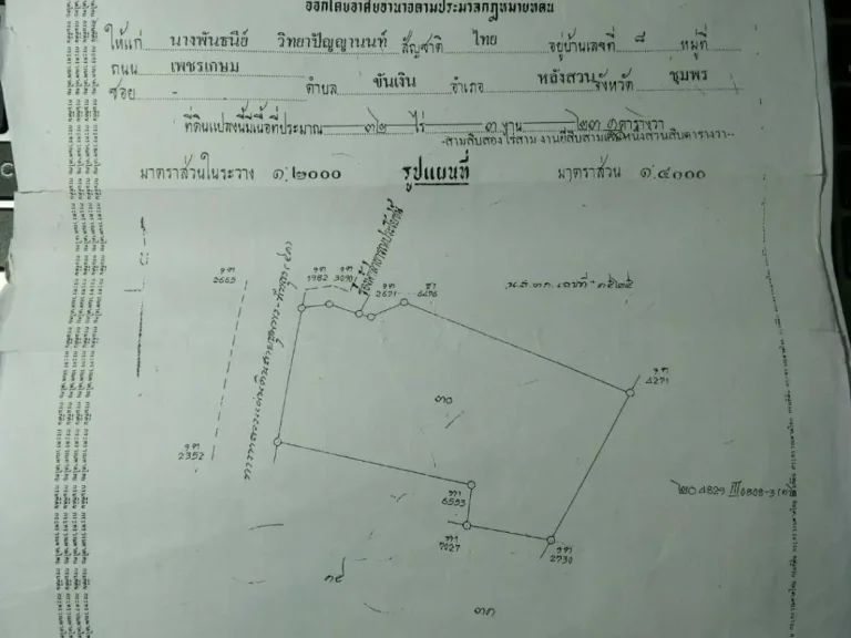 ที่ดิน แปลงสวย อำเภอหลังสวน จังหวัดชุมพร