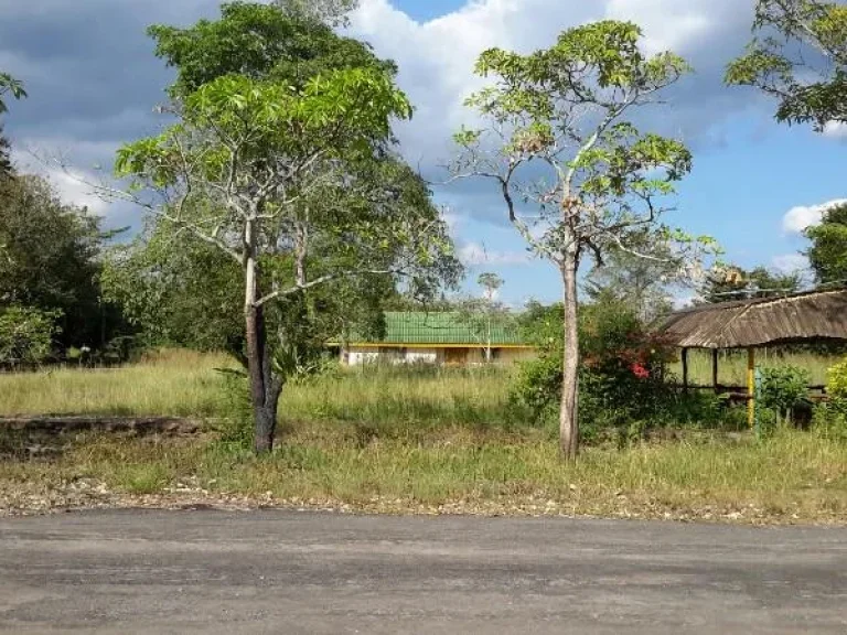 ขายที่ดินติดถนนสุขุมวิท อนายายอาม จจันทบุรี