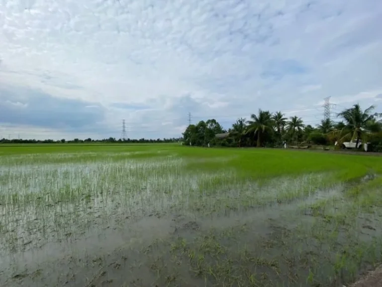 ขายถูกมาก ที่ดินใกล้วัดใหม่เจริญราษฎร์ 4 ไร่ ติดถนนเลียบคลอง