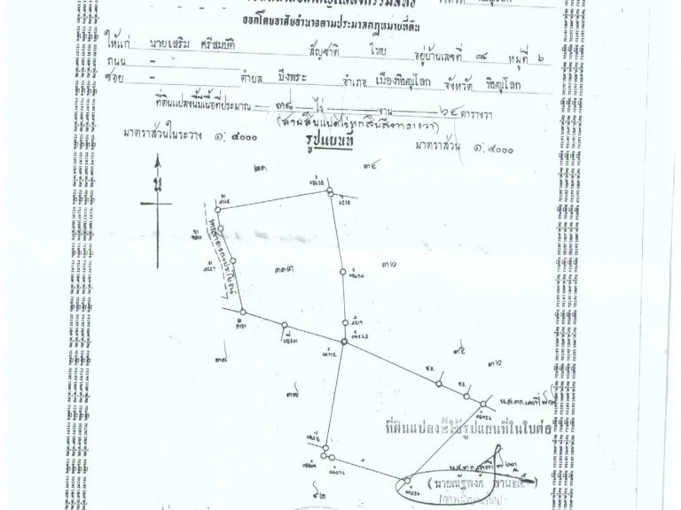 ขายที่นา 17 ไร่