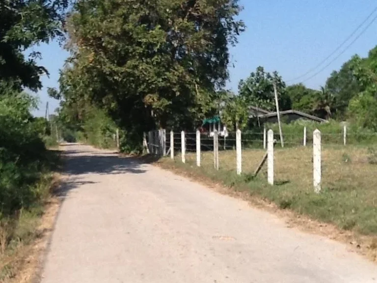 ที่ดินโฉนดถมแล้วล้อมรั้วเสร็จ ไฟฟ้าปะปาผ่าน เขตชุมชน 2 ไร่ ติดถนนลาดยาง