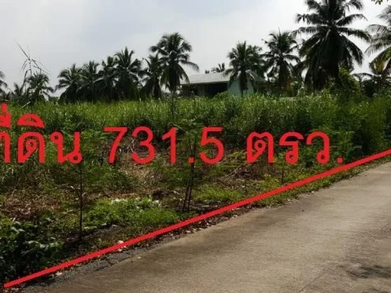 ขายที่ดิน 1 ไร่ 3 งาน 315 ตรว หรือ 7315 ตรว ผู้ขายจ่ายค่าโอนให้หมด