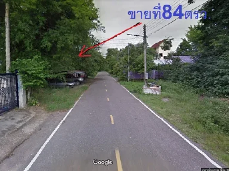 ขายที่ดินหนองผึ้ง สารภี 84 ตรวอยู่ในหมู่บ้านคุณภาพ ใกล้ถนนวงแหวน3 ถนนต้นยาง ห่างเมืองเพียง 4กม