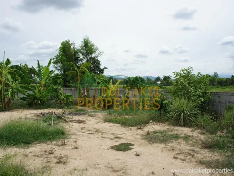 88 talang wah Nice Piece of Land for Sale Great Location in Doi Saket Full Chanote LS047-00