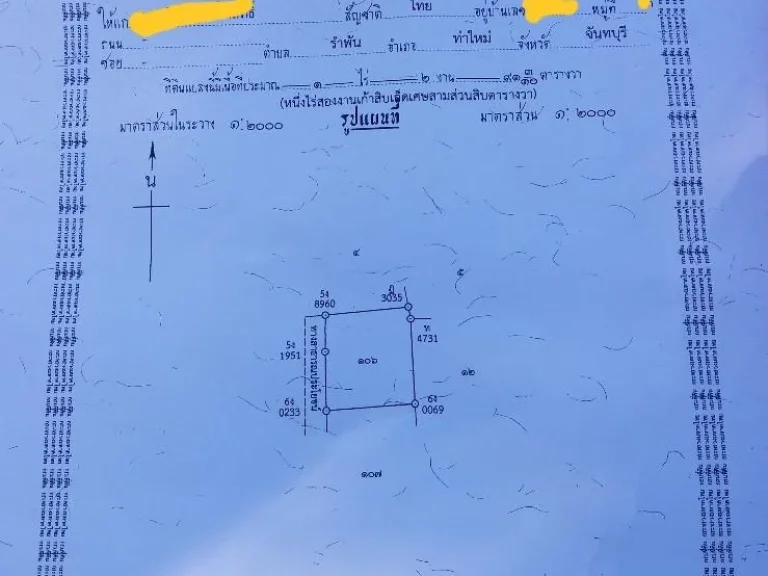 ขายที่ว่างป่าว ปลูกทุเรียนได้