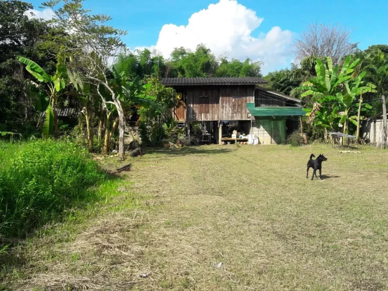 แปลงบ้านพร้อมที่ดิน 190 ตรว ใกล้โรงเรียนนานาชาติเปรม