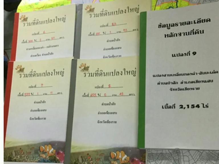 แปลงที่ 11 ตำบลป่าสัก อำเภอเชียงแสน จังหวัดเชียงราย