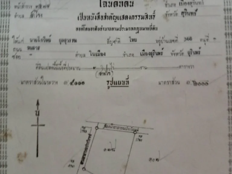 ที่ดิน 3 ไร่ ติดถนนในหมู่บ้านหน้าโรงเรียนแสลงพันธ์