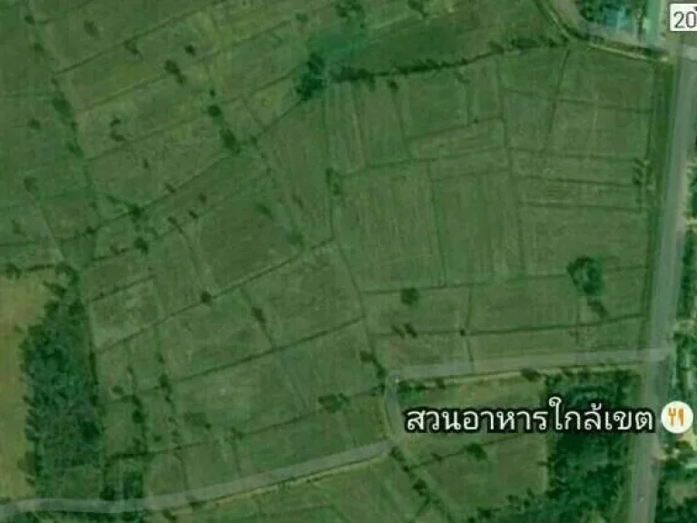 ขายที่ดิน แปลงใหญ่ 76 ไร่ ถนนใหญ่ หมายเลข 2045 เส้นทาง อ พยัคฆ์ - จ มหาสารคาม