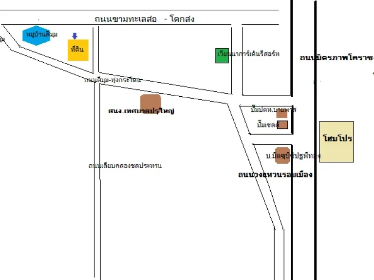 ขายที่ดิน 6ไร่ 2 งาน เส้นสีมุม-บ้านทุ่งกระโดน นครราชสีมา