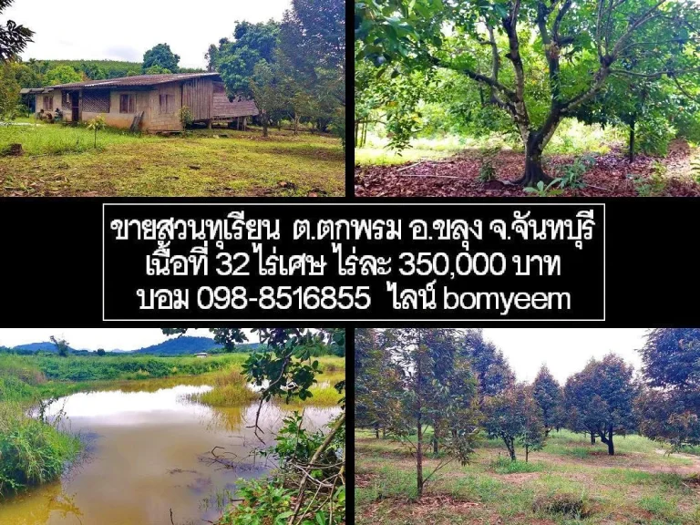 ขายสวนทุเรียน ตตกพรม อขลุง จจันทบุรี 32 ไร่เศษ ขาย 12 ล้านบาท