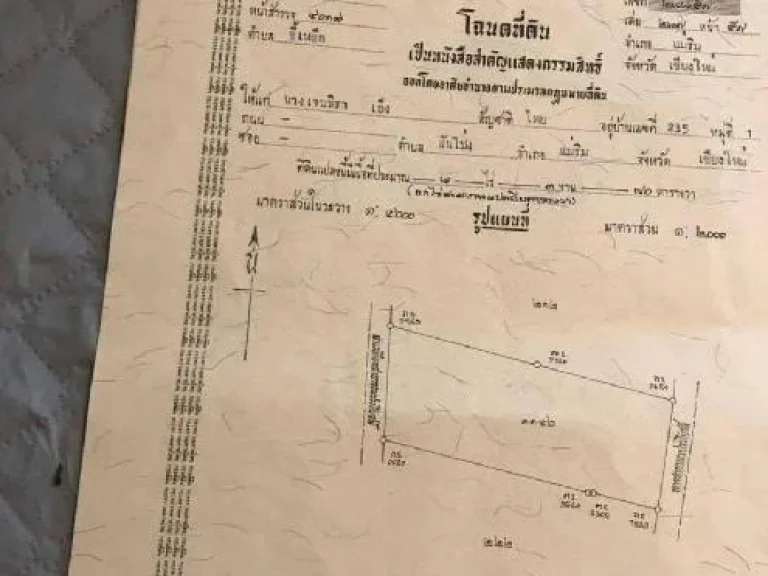 ต้องการขายด่วนที่นาติดแนวถนนสร้างใหม่ผ่าน